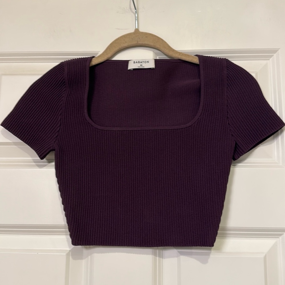 Aritzia Babaton Ribbed Crop Top